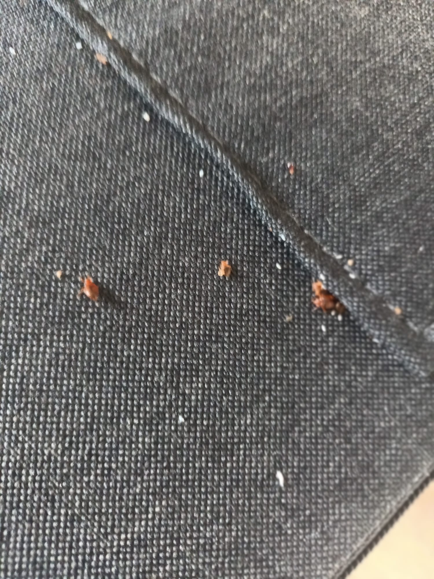 Désinfection hôtel